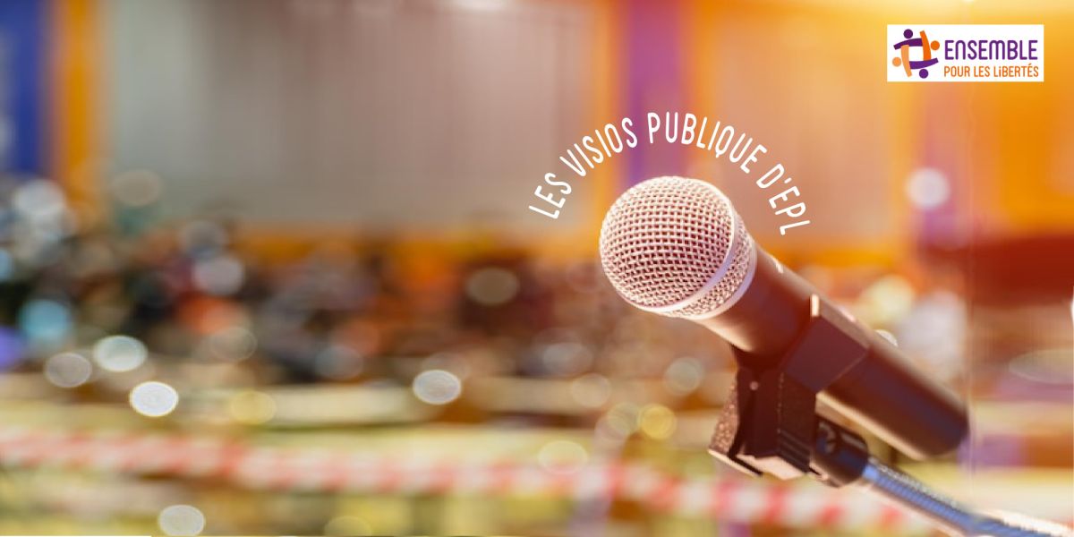 Les visios publiques d'Ensemble pour les Libertés