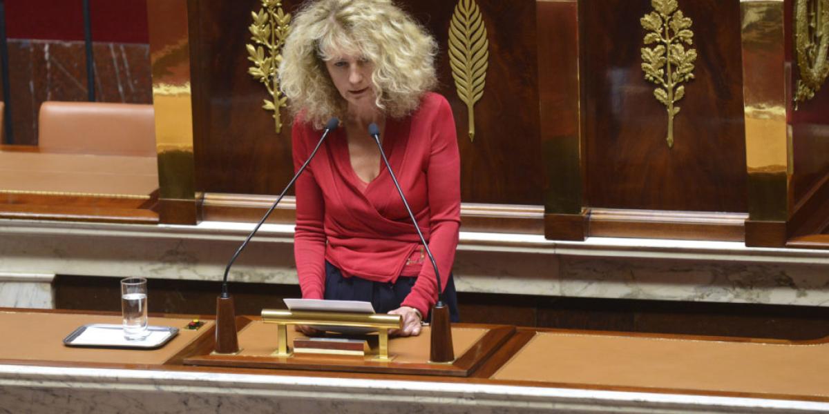Martine Wonner à l'assemblée