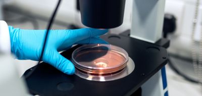 main gantée qui pose un échantillon sous un microscope